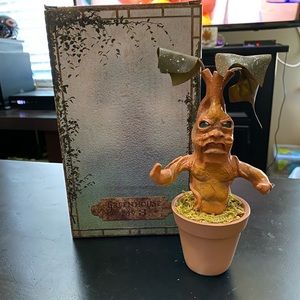 CLOSET CLOSING❗️ Mandrake